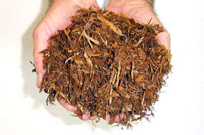 Pine Bark Mulch
